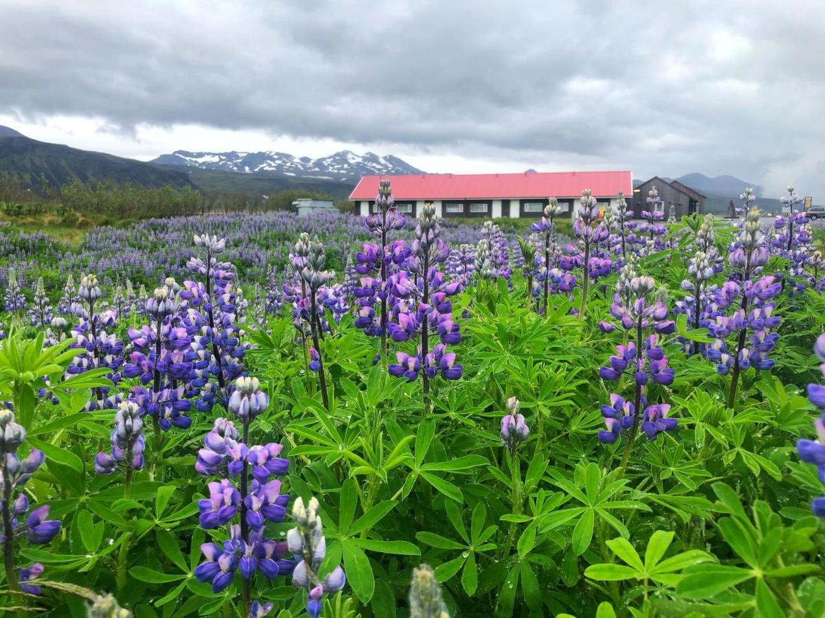 Hotel Snaefellsnes Formally Hotel Rjukandi Vegamot Eksteriør billede